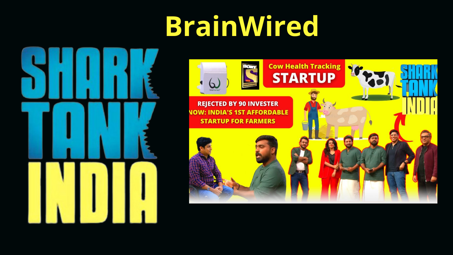 shark tank india brainwired